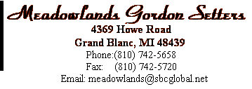 Meadowlands Gordon Setters 5583 Canonsburg Road Grand Blanc, MI 48439 Phone:(810) 610-8384      Email: gordeelee@aol.com 